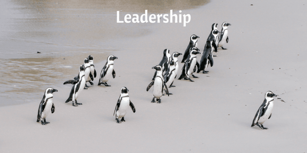 Leadership