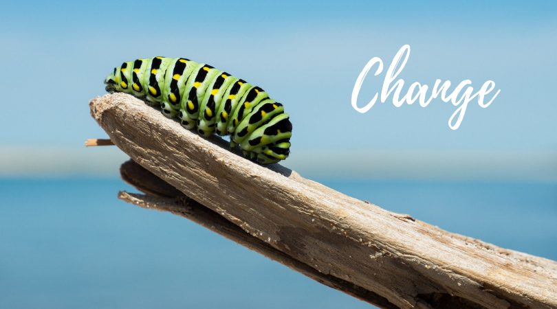 How to cope with change